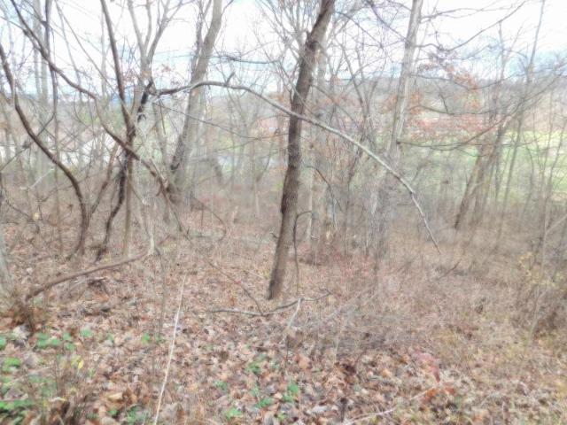 Land for sale in Wisconsin