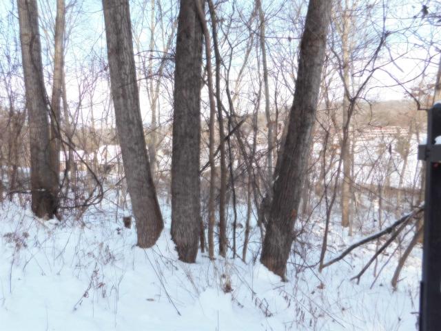 Land for sale in Wisconsin