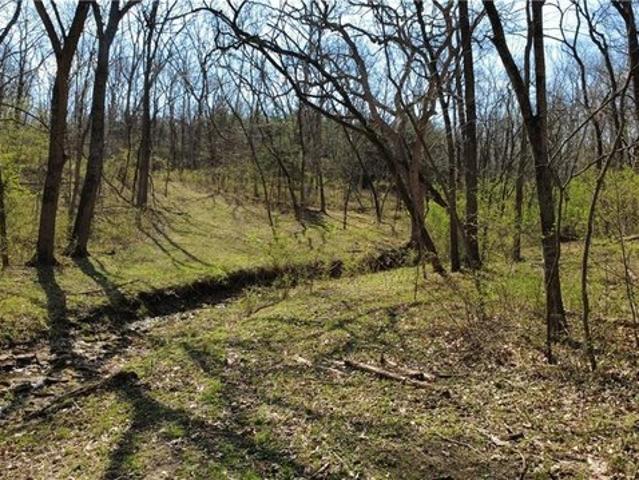 Land for sale in Smithville, Missouri