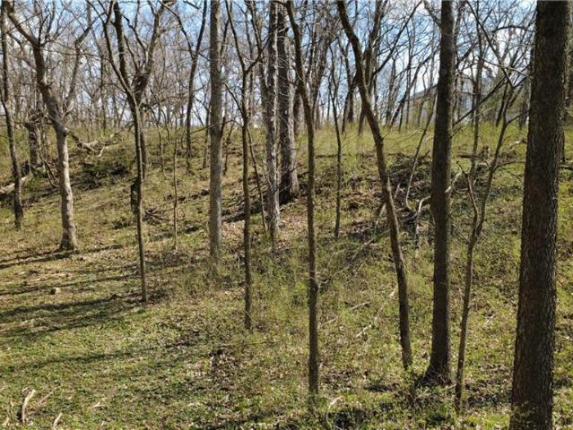Land for sale in Smithville, Missouri