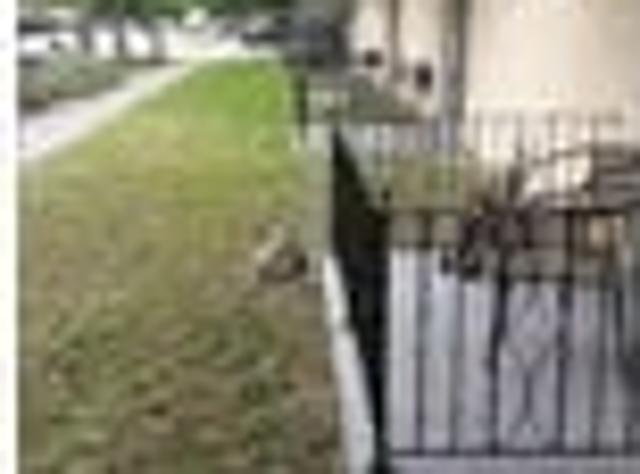 Apartment for rent in North Miami Beach