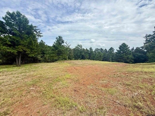 Land for sale in Smith, Texas