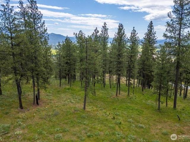 Land for sale in Chewelah, Washington