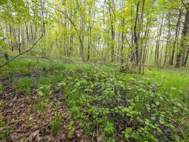 Land for sale in Michigan