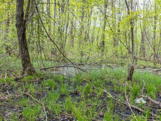 Land for sale in Michigan