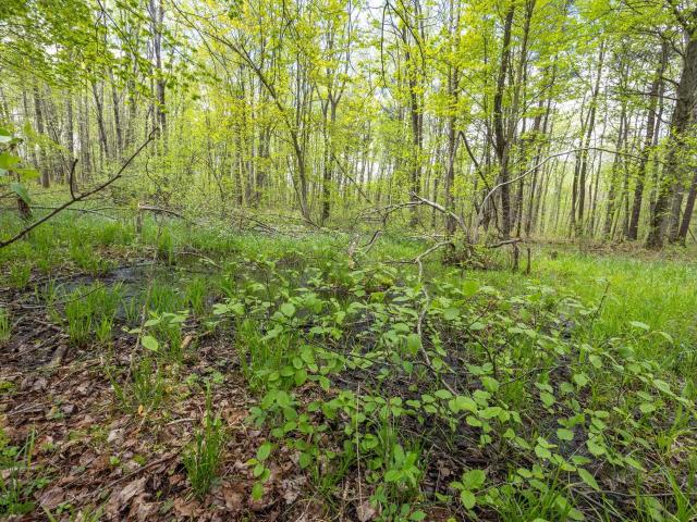 Land for sale in Michigan