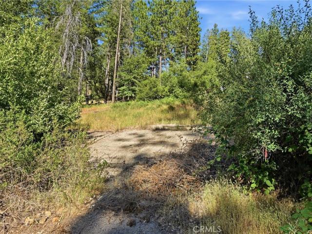 Land for sale in Lake, California