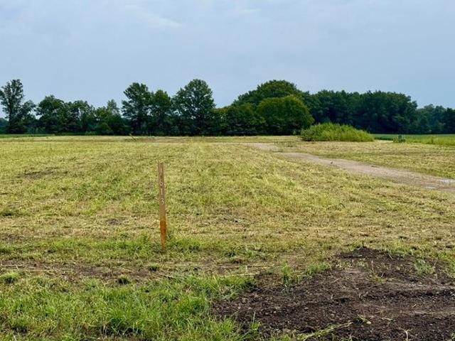 Land for sale in Ashley, Ohio