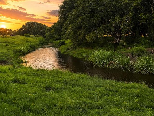 Farm for sale in Wadsworth, Texas