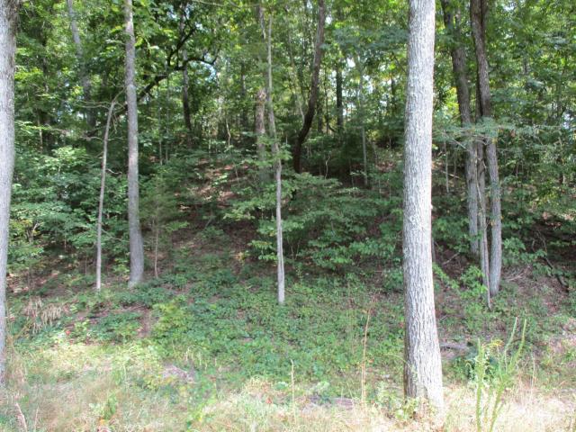 Land for sale in Lobelville, Middle Tennessee