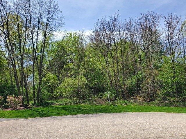 Land for sale in Russell, Illinois