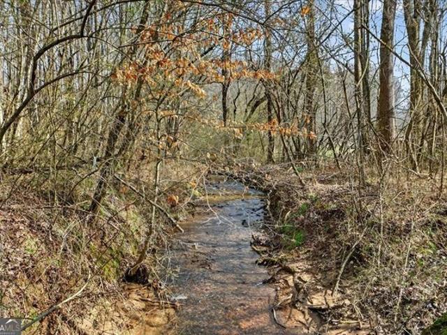 Land for sale in Gilmer, Georgia