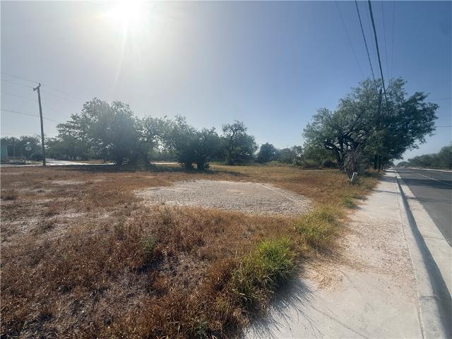 Land for sale in Alice, Jim Wells County