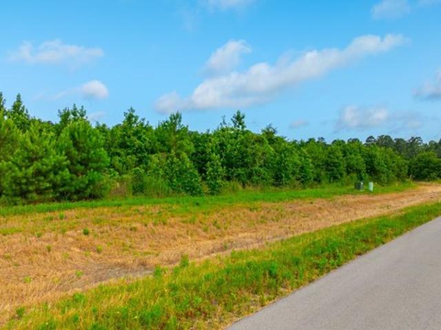 Land for sale in Willis, Texas