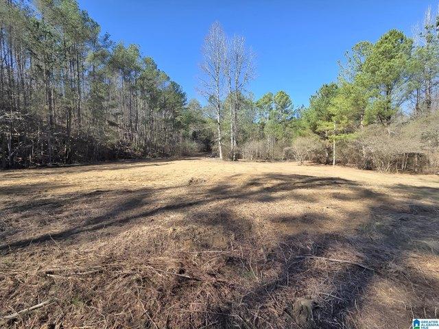 Land for sale in Sumiton, Alabama