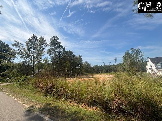 Land for sale in Blythewood, South Carolina