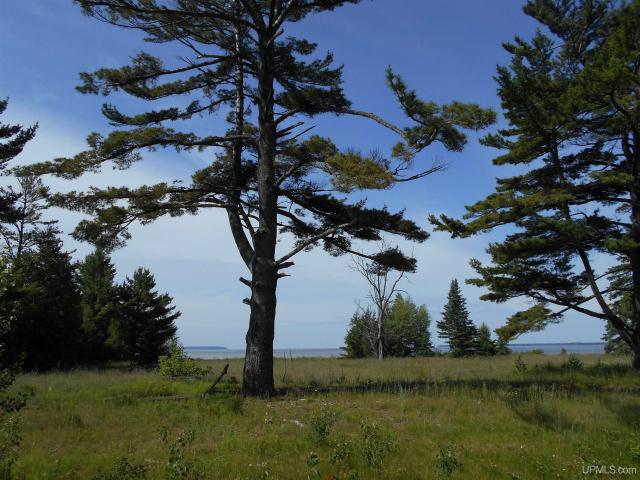 Land for sale in Michigan