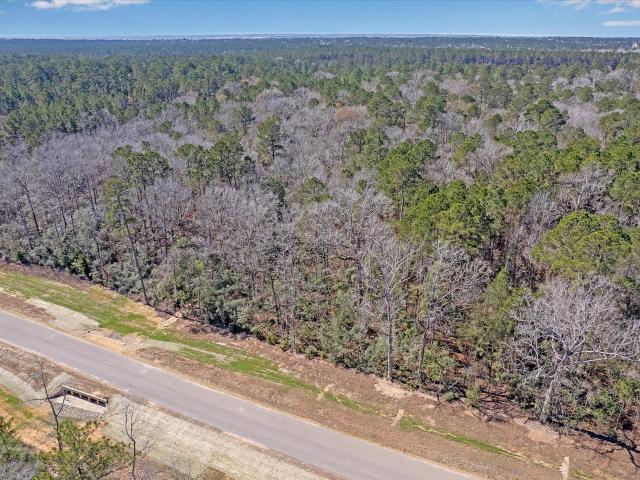 Land for sale in Willis, Texas