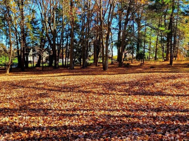 House for sale in Delco, Pennsylvania