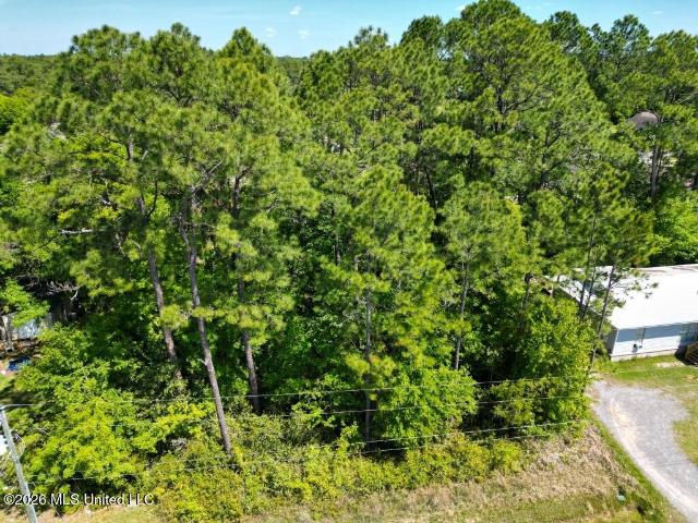 Land for sale in Hickory Hills, Gautier