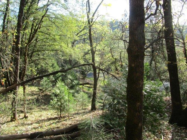 Land for sale in Grass Valley, California