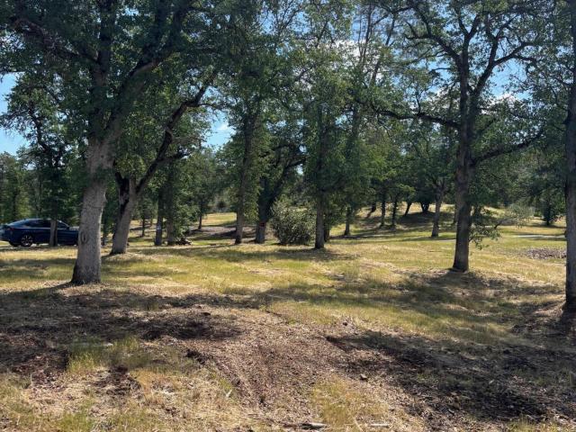 Land for sale in Shasta, California
