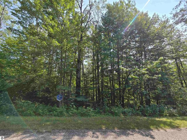 Land for sale in Michigan