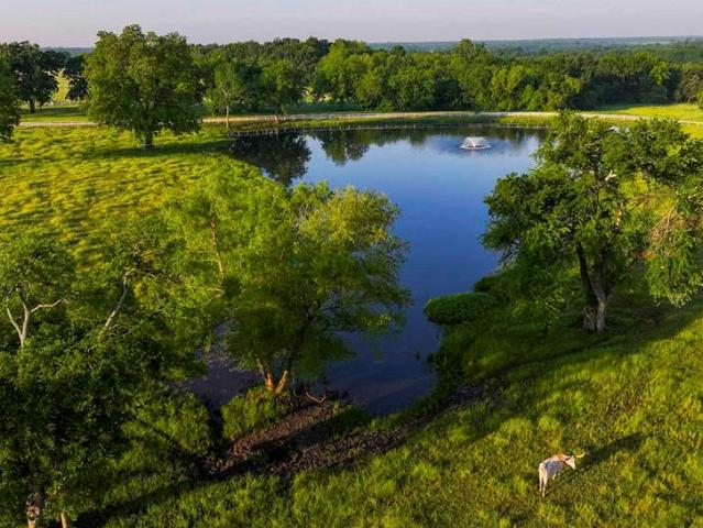 Land for sale in Honey Grove