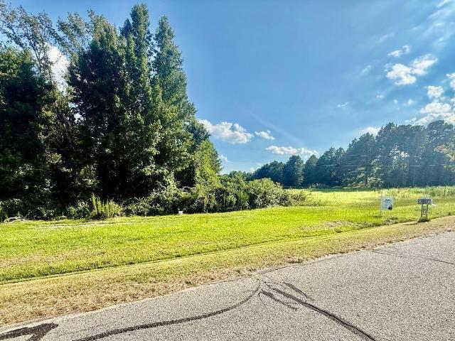 Land for sale in Four Oaks, North Carolina