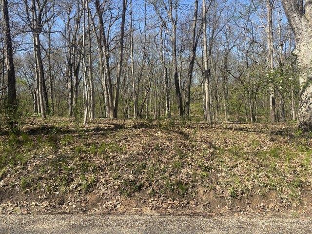 Land for sale in Marshall, Illinois