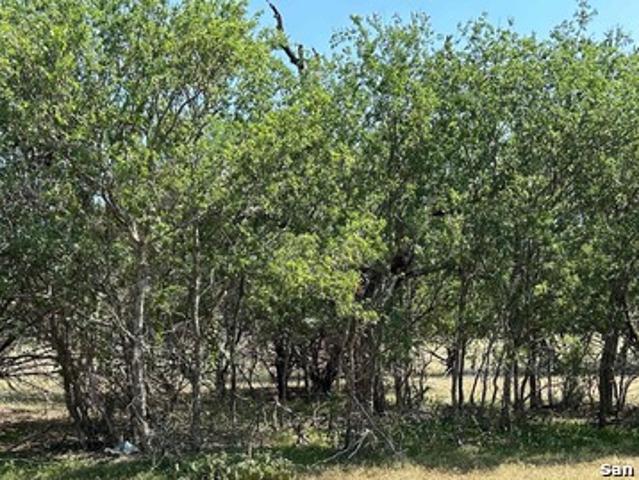 Land for sale in Medina