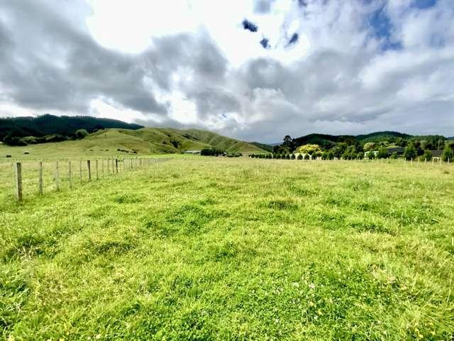 Land for sale in Horowhenua District
