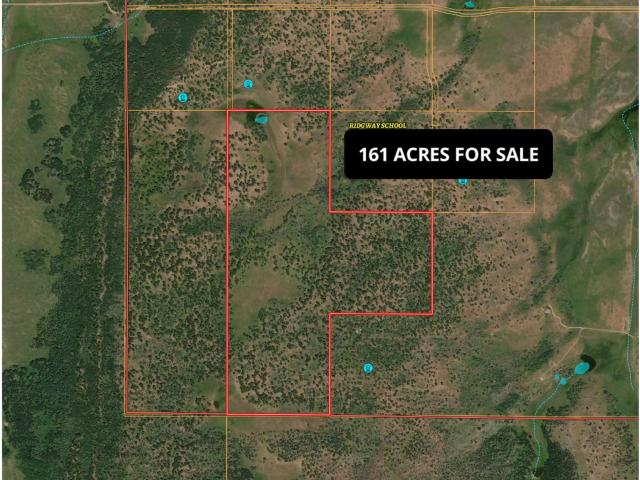 Property for sale in Placerville, Colorado