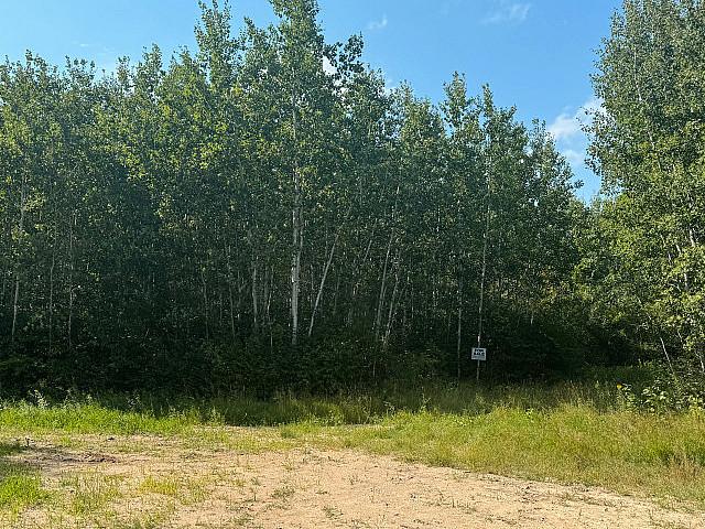 Land for sale in Piney, Manitoba