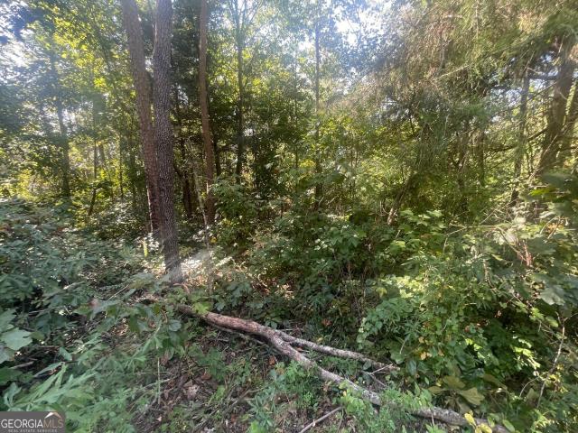 Land for sale in Martin, Stephens County