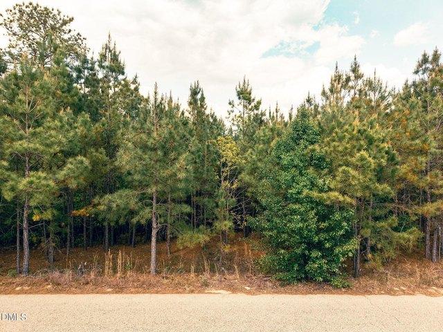 Land for sale in Sanford, Lee County