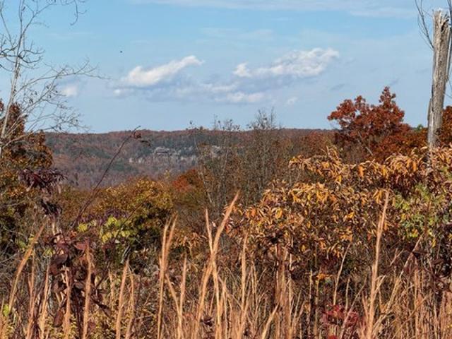 Land for sale in Tennessee