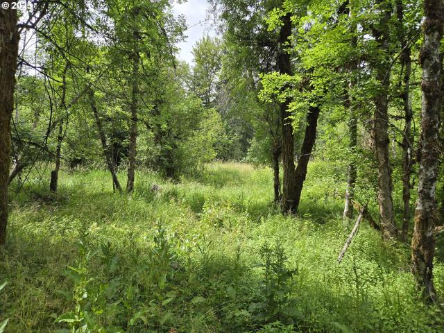 Land for sale in Carson, Washington