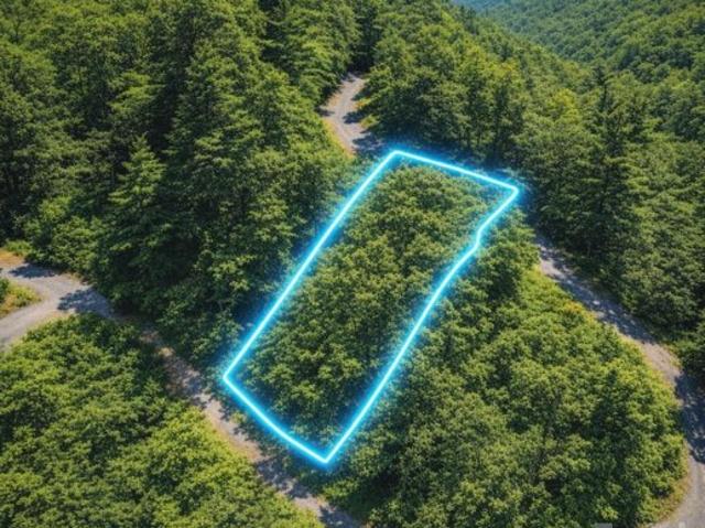 Land for sale in Union Mills, Rutherford County