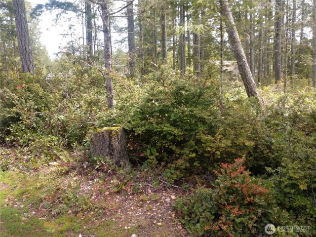 Land for sale in Union, Washington