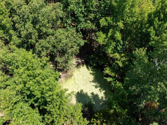Land for sale in Cord, Independence County
