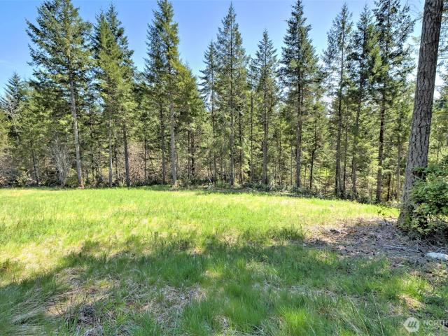 Land for sale in Shelton, Washington