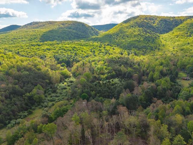 Land for sale in Virginia
