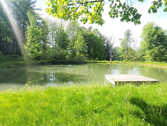 House for sale in Newfield, New York