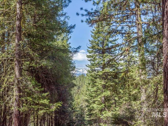 Land for sale in Cascade, Idaho
