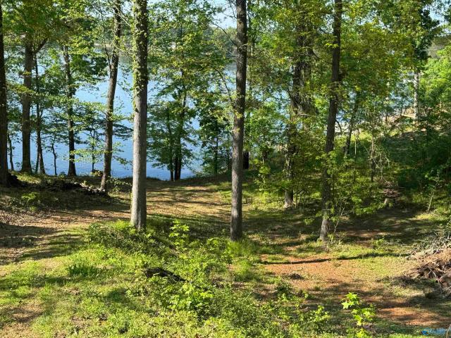 Land for sale in Scottsboro, Jackson County