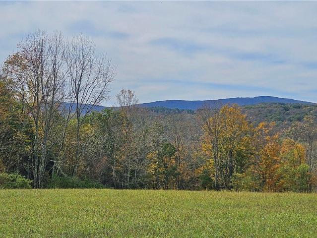 Land for sale in Denver, New York