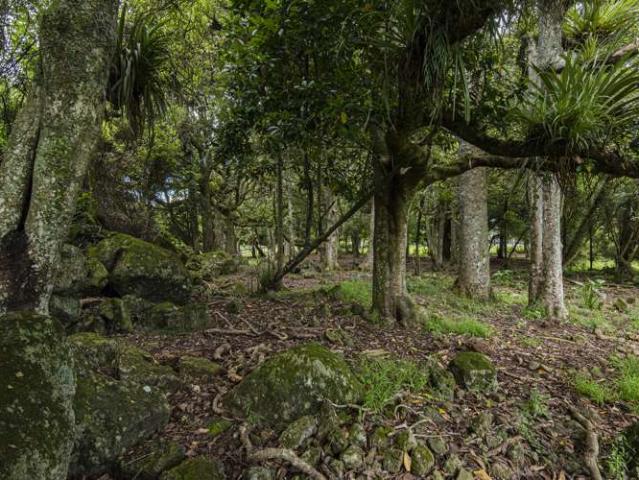 Property for sale in Maungatapere, Northland