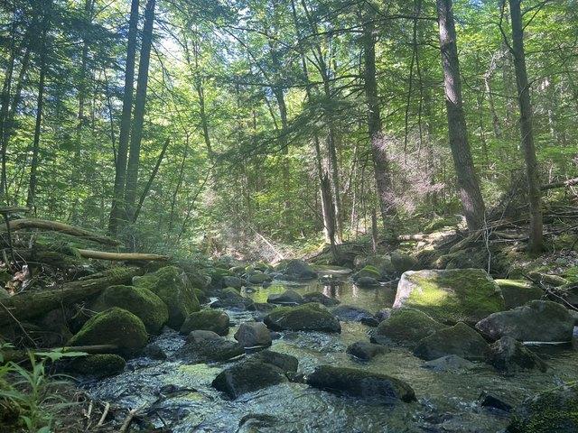 Land for sale in Essex, New York