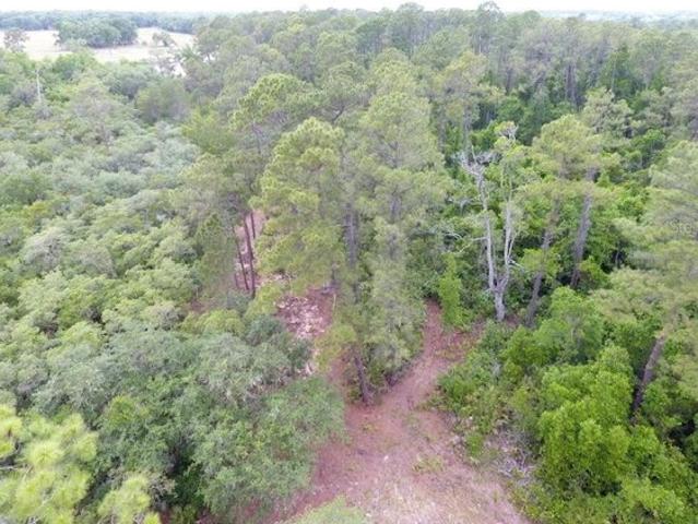 Land for sale in Crescent City, Florida